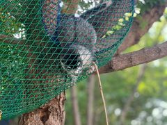 -西部长青自然儿童乐园