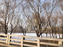 -大兴滨河森林公园