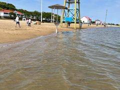 -碧海金沙