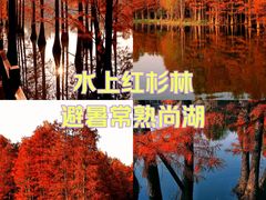 -尚湖风景区
