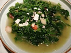 上汤桑叶-大榕树下顺德菜(融创茂店)