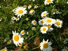 -艾溪湖湿地公园