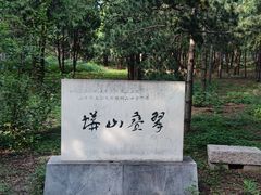 -蟒山国家森林公园-停车场