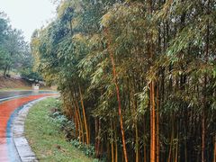 -南京市无想山景区