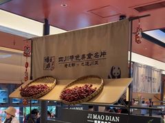 -将军府·鸡毛店(武侯祠店)