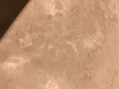 -上海新锦江大酒店