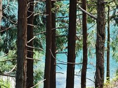 -玉苍山国家森林公园