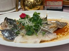 -顺德佬华侨城店·商务宴请·团建