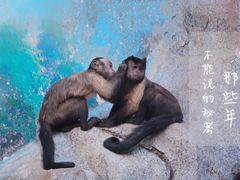 -石家庄市动物园