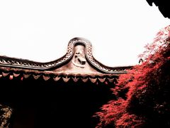 -上海醉白池公园