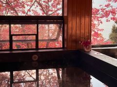 -抚仙湖禄充风景区
