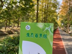 -上海长兴岛郊野公园