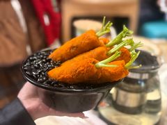 -丁老爷子苏香圆