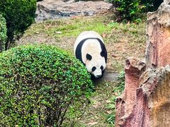 -大连森林动物园