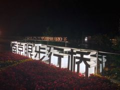 -南京眼步行桥