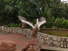 -吉隆坡雀鸟公园