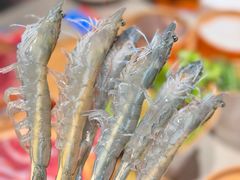 -海底捞大排档火锅(打浦路店)