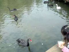 -五缘湾湿地公园