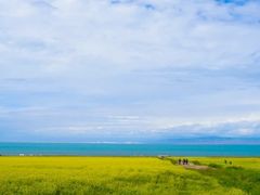 -青海湖国家重点风景名胜区