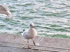 -滇池海埂公园