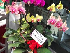 -龙达温泉生态城