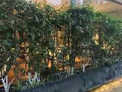 -铜锣湾·有麝自然香(渝北财富中心店)