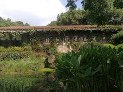 -中国茶叶博物馆(双峰馆区)