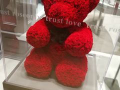 -ROSEONLY诺誓(广州K11店)