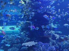 -左海海底世界