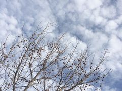 -旧宫(地铁站)
