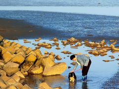 -南汇嘴观海公园