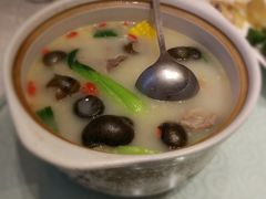 -四季春