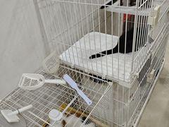 -夏家大锅台炖鱼馆