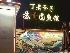 -丁老爷子苏香圆