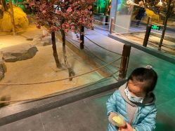 -酷嗒动物文化乐园(cutezoo西溪乐天城店)