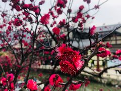 -灵福缘私房菜·农家菜(拈花湾·灵山大佛必推店)