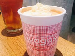 椰椰夏洛特-Wagas沃歌斯(太古汇店)