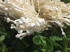 -巴人堂(女儿城店)