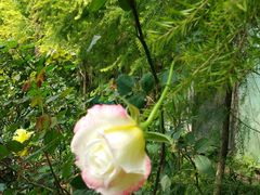 -人民公园(罗湖区)