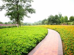 -白沙门生态公园