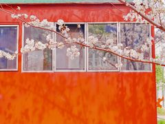 -新天地活力PARK