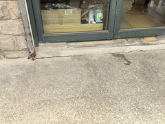 -胡子渣渣死飞单车工作室(龙缘花园店)