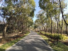 -昆山城市生态森林公园