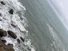 -广东惠东海龟国家级自然保护区