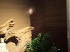 -足本纪·足道 SPA 简餐 小吃(文三西路店)