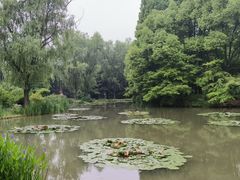 -洛阳市隋唐城遗址植物园