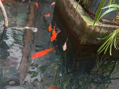 -夹夹大·蟹蟹大排档(财富又一城店)