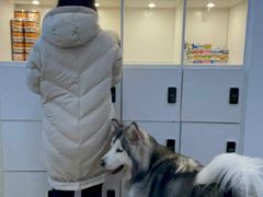 -李小姐の猫咖啡馆(五角场店)