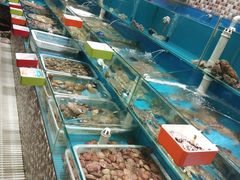 -港畔赶海蒸汽海鲜烧烤自助(仙螺岛店)