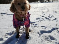 -沐沐家宠物(成寿寺店)